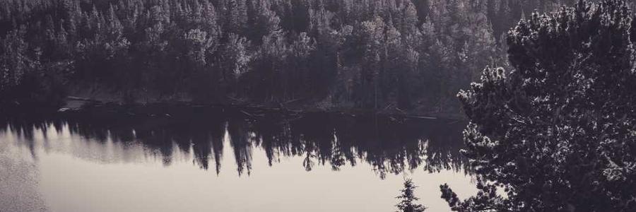 Est omnis sint consequatur quia.