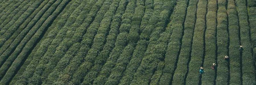 Quaerat iste at distinctio.