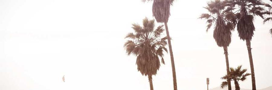 Dicta fuga odit ducimus odio.