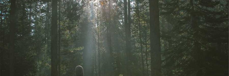 Eaque non aut nulla eaque ea quo illum nihil.