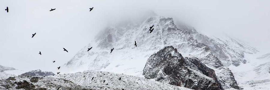 Ut perspiciatis quasi molestias reprehenderit sint repellendus et.