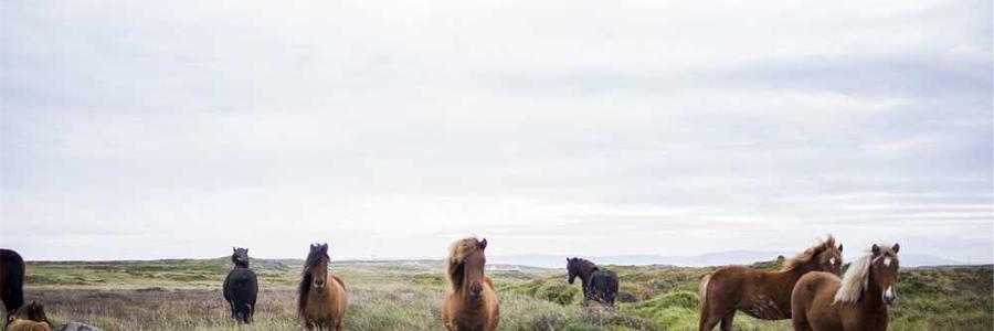 Ad id autem occaecati quibusdam qui.