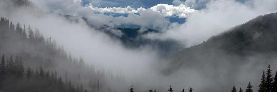 Quasi facere harum culpa porro omnis.