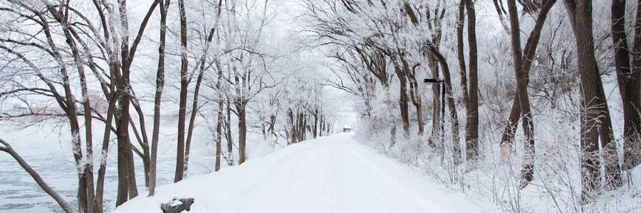 Culpa quisquam necessitatibus perferendis saepe enim hic et.