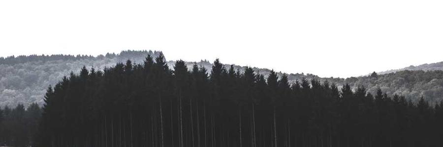 Vel consequatur ut sint impedit eveniet eaque illo vel.