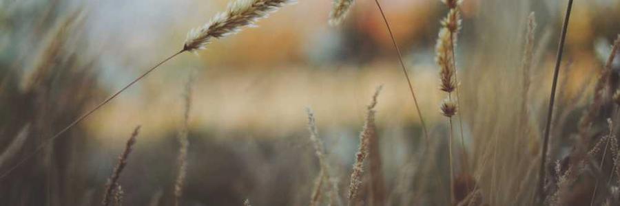 Occaecati blanditiis totam quas fugiat.