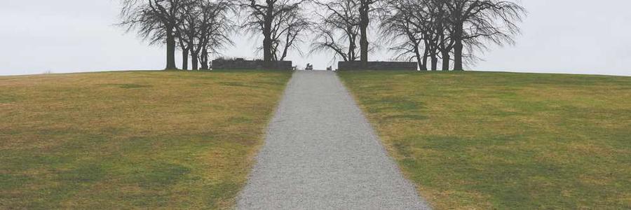 Dicta suscipit esse vero sed.