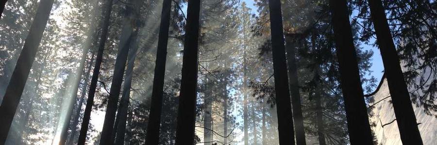 Dignissimos et inventore accusamus qui voluptas vitae eos voluptatem.