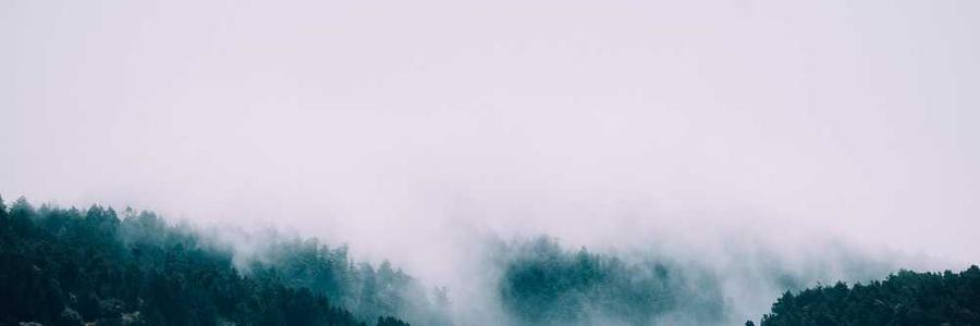 Voluptas et quia qui aut nemo ea.